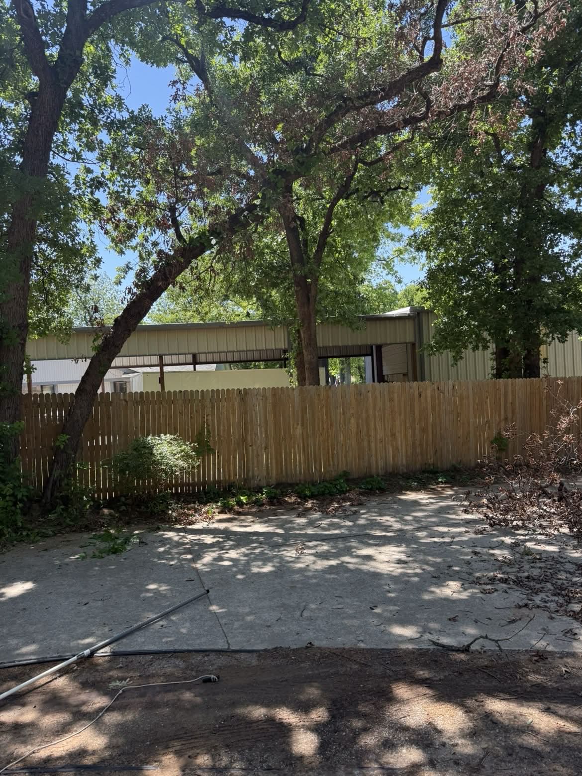 Before tree removal Edmond OK